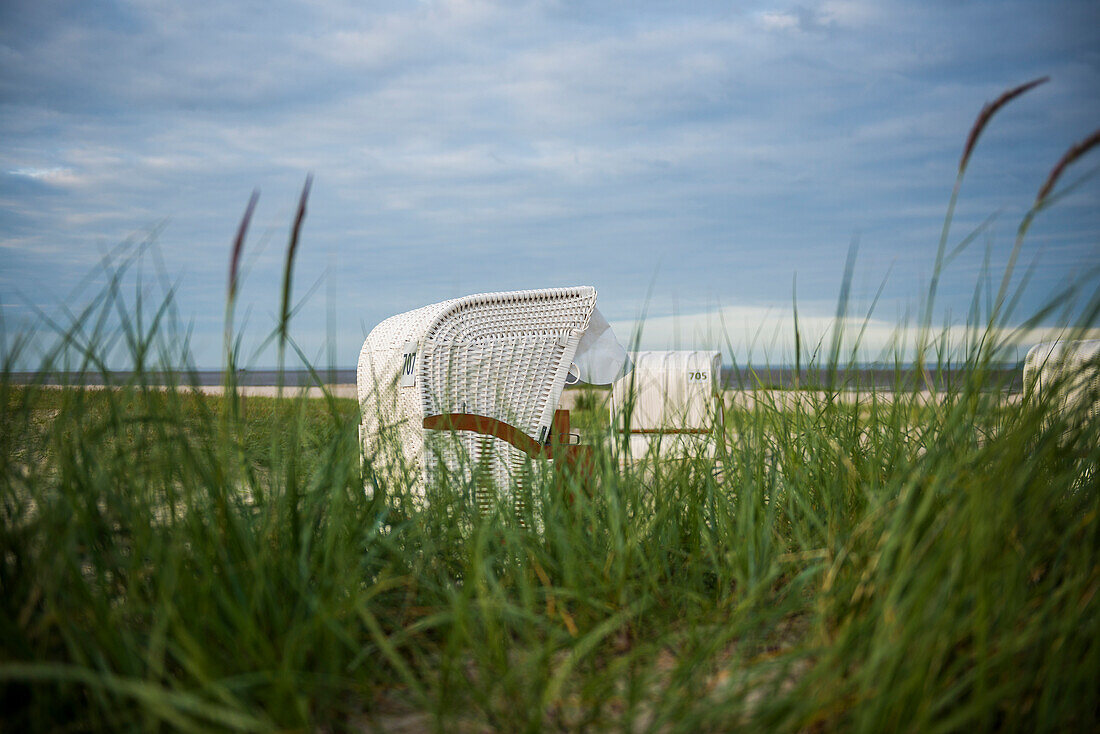 Beach grass (Ammophila arenaria) and white beach chairs, Wadden Sea, Schillig, Wangerland, East Frisia, Lower Saxony, North Sea, Germany