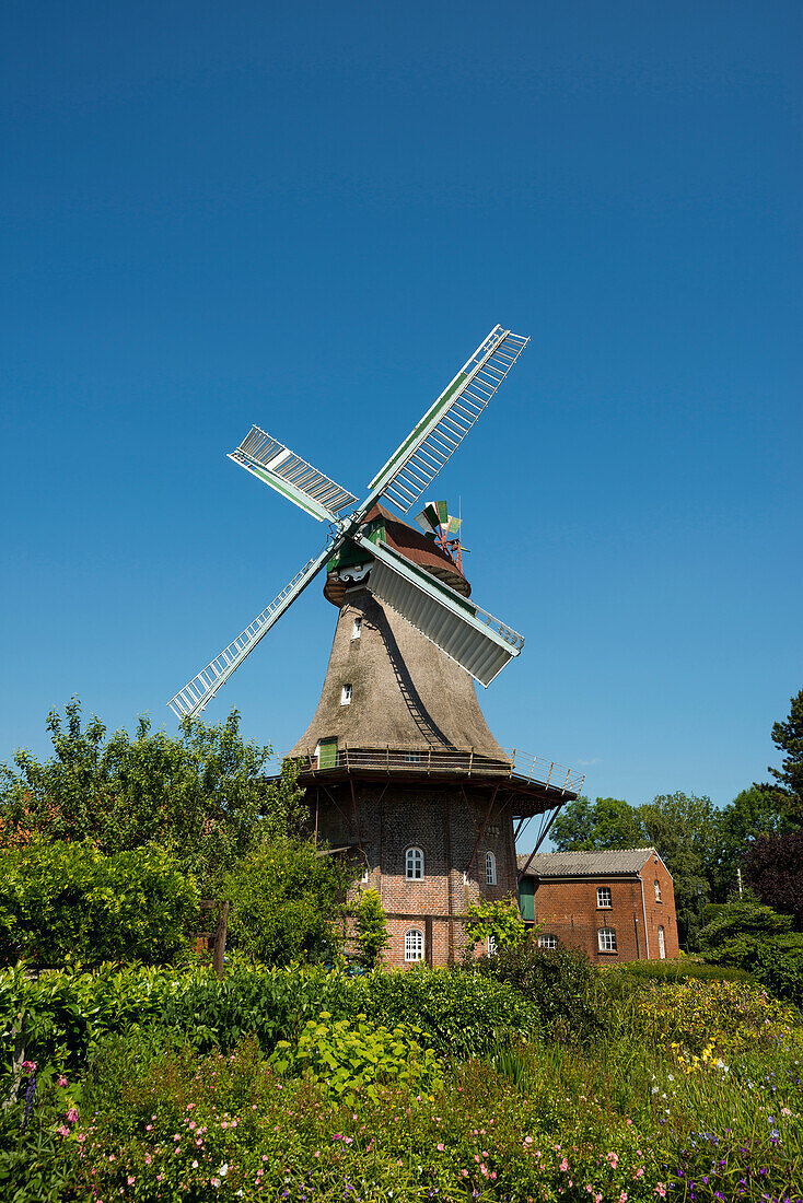 Windmühle, Jemgum, Ostfriesland, Niedersachsen, Deutschland