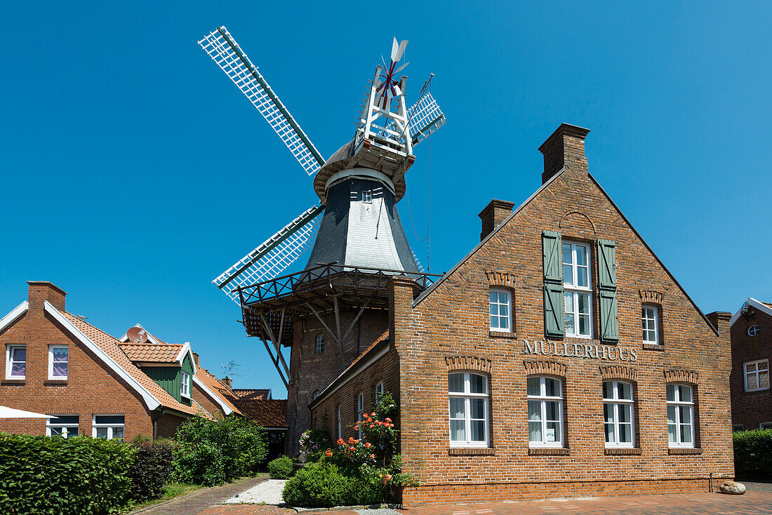 Windmühle, Ditzum, Ostfriesland, Nordsee, Niedersachen, Deutschland
