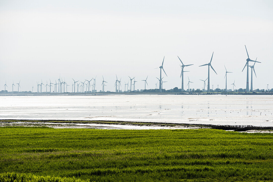 Wind turbines on the coast, near Emden, East Friesland, North Sea, Lower Saxony, Germany