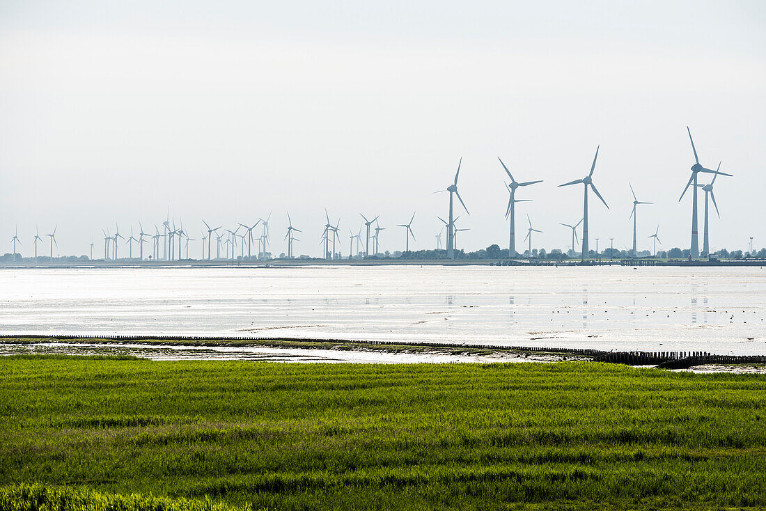 Windräder an der Küste, bei Emden, Ostfriesland, Nordsee, Niedersachen, Deutschland