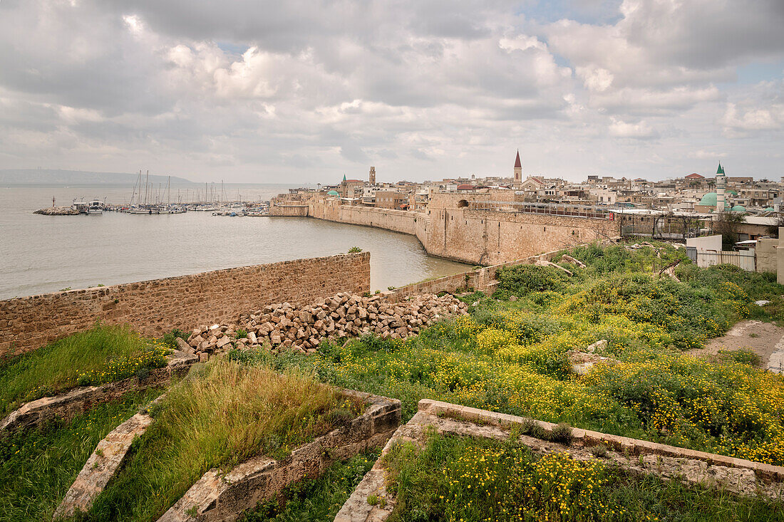 View of the port and old city of Acre (also Akko), Israel, Middle East, Asia