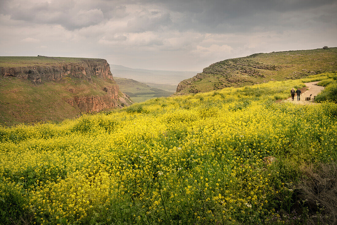 Felsige und grüne Landschaft am See Genezareth, Israel, Mittlerer Osten, Asien