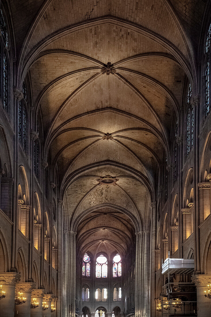 Cross vault in Notre-Dame de Paris cathedral, Paris capital, Ile-de-France, France