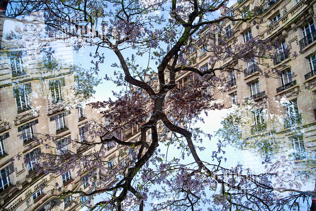 Classic residential buildings around the Square de Clignancourt  framed with the park's trees in Paris, France.