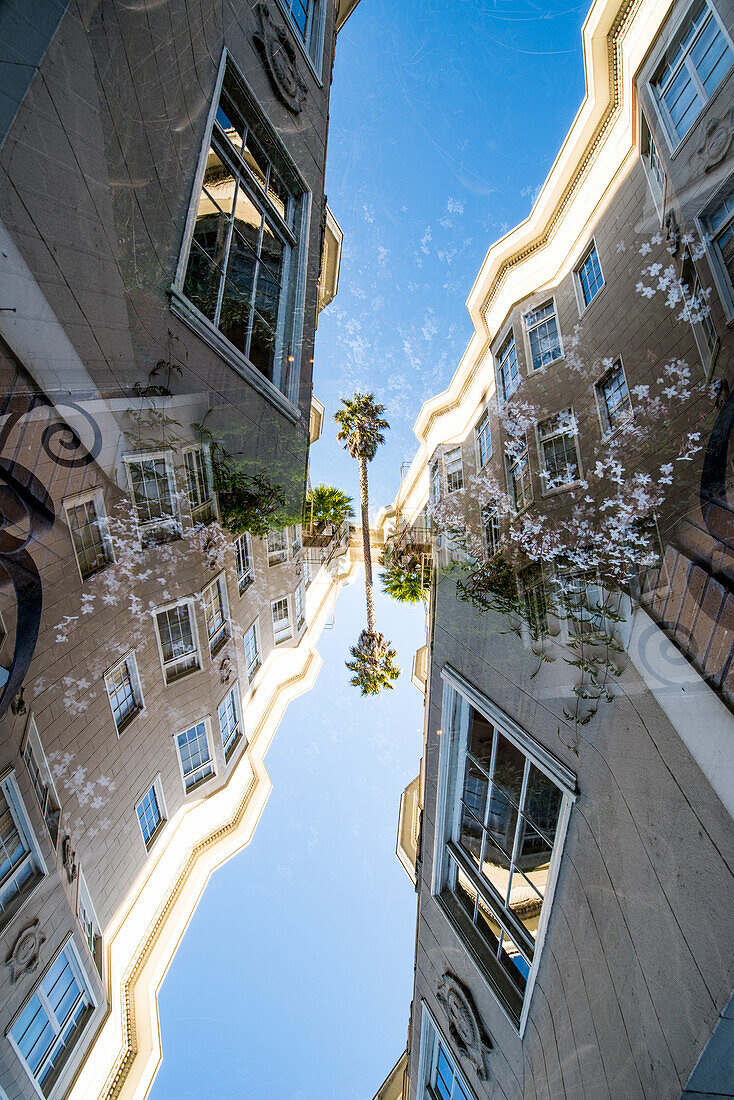 Doppelbelichtung von Wohngebäuden und einer Palme in der Hayden Street in San Francisco, Kalifornien.