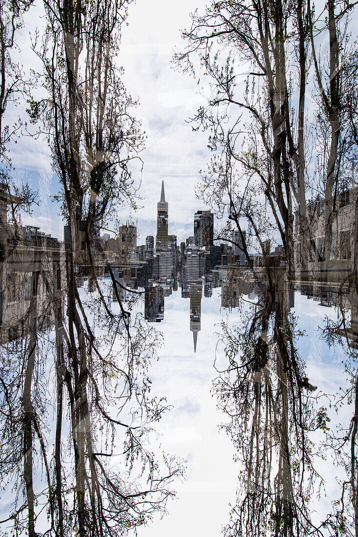 Double exposure view of downtown San Francisco from the top of Union Street, California.