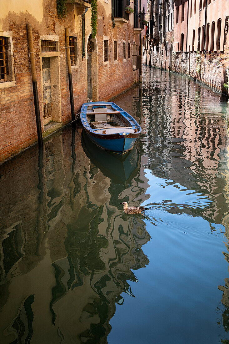 Blick auf ein Boot in einem Kanal in Venedig, Dorsoduro, San Polo, Venezia, Venetien, Italien, Europa