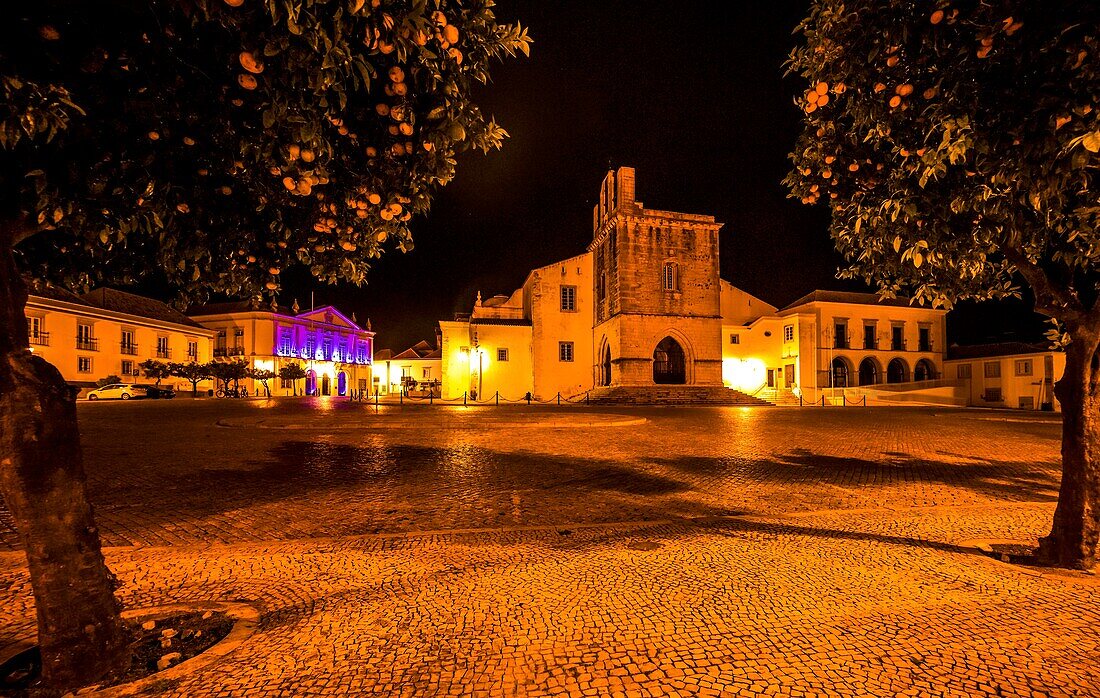 Orangenbäume rahmen Kathedrale und Rathaus, Largo de Sé bei Nacht, Faro, Algarve, Portugal