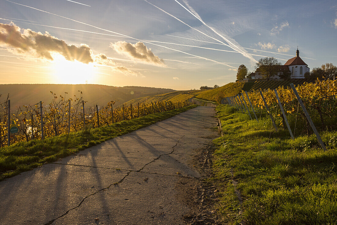 Sunset at the Vogelsburg, Mainschleife, Volkach, Kitzingen, Lower Franconia, Franconia, Bavaria, Germany, Europe