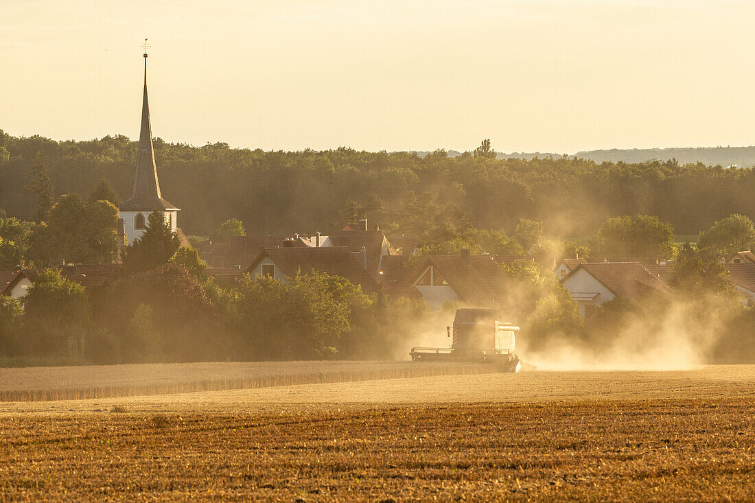 Grain harvest near Fröhstockheim, RÃ¶delsee, Kitzingen, Lower Franconia, Franconia, Bavaria, Germany, Europe