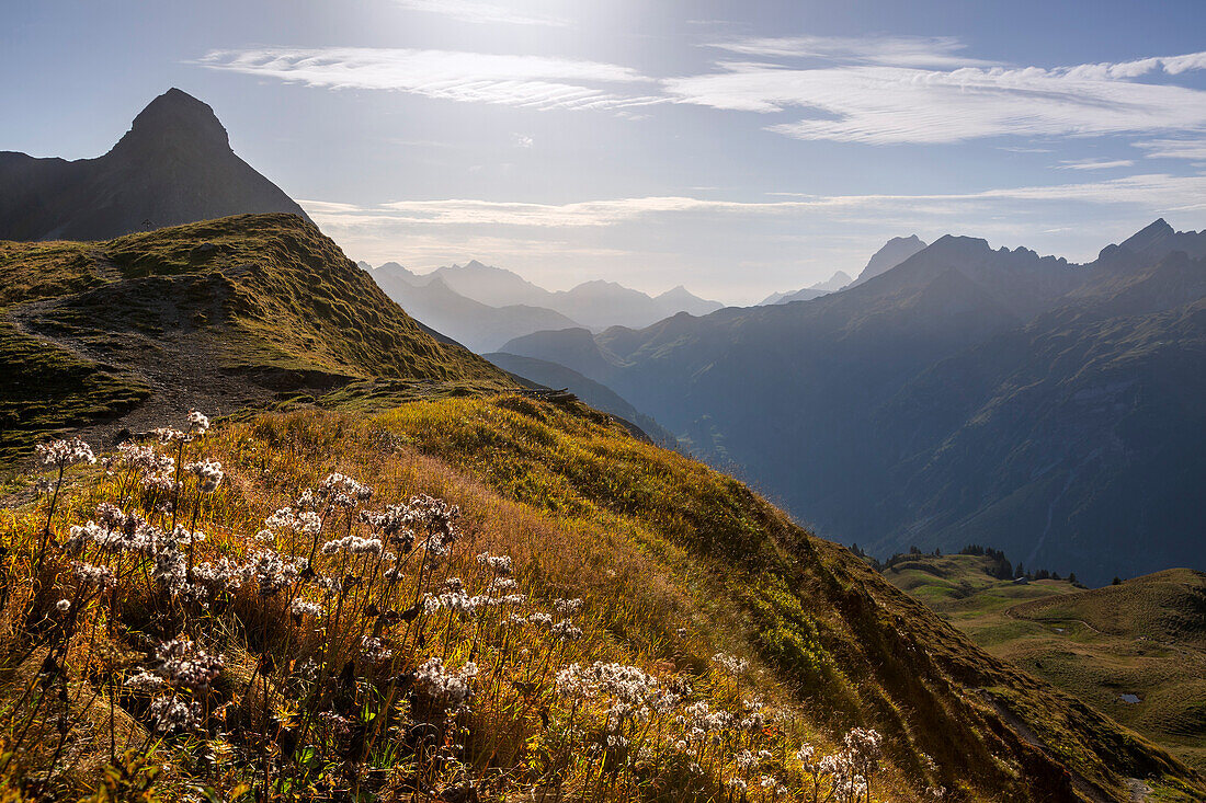 Blick von der Rappenseehütte auf die Allgäuer Alpen, bei Oberstdorf, Allgäu, Bayern, Deutschland