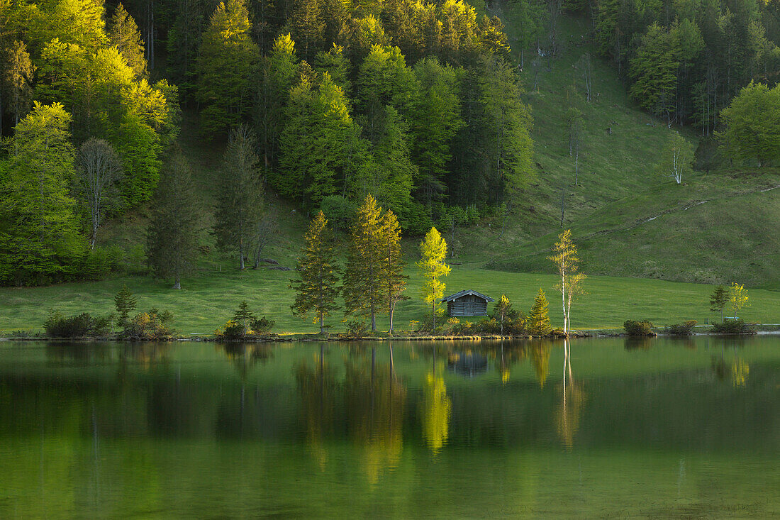 Ferchensee, near Mittenwald, Bavaria, Germany