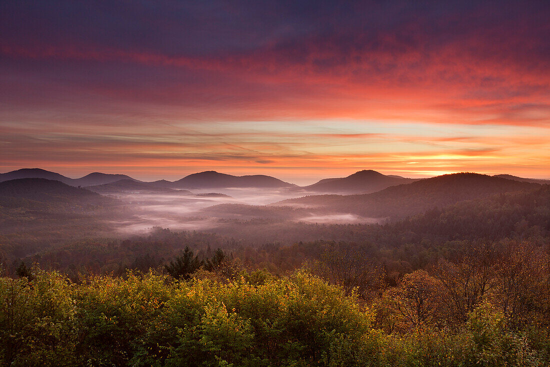 Morgenstimmung, Pfälzer Wald, Pfalz, Rheinland-Pfalz, Deutschland
