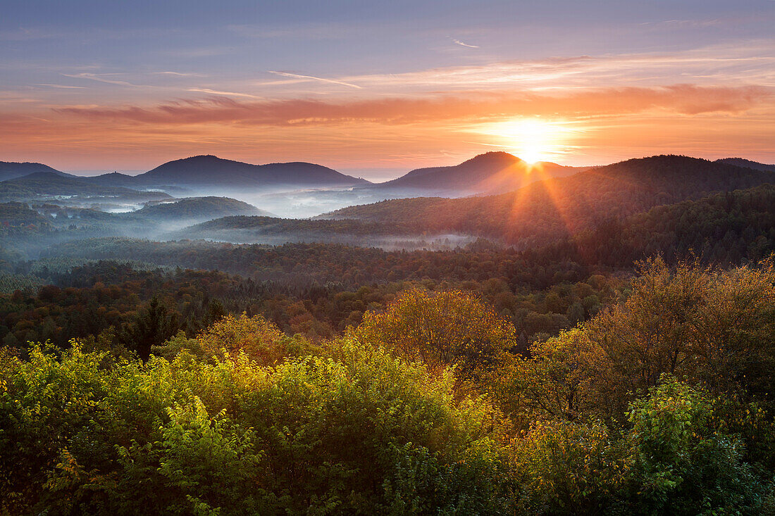 Morgenstimmung, Pfälzer Wald, Pfalz, Rheinland-Pfalz, Deutschland