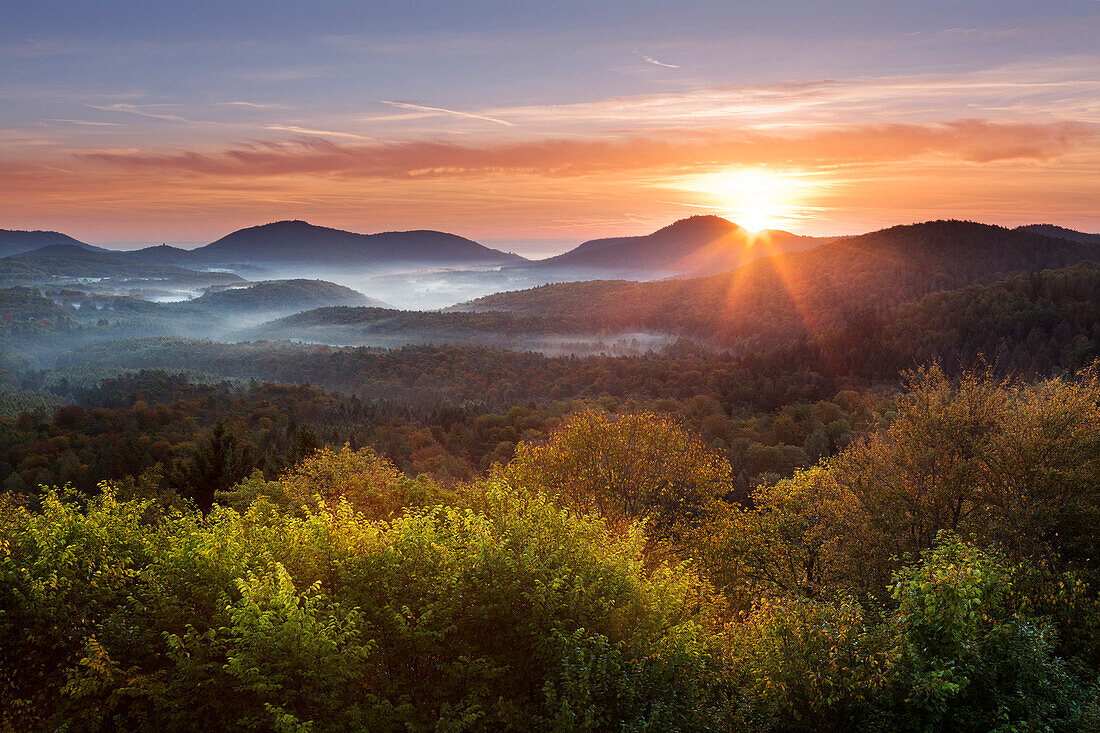 Morning mood, Palatinate Forest, Palatinate, Rhineland-Palatinate, Germany