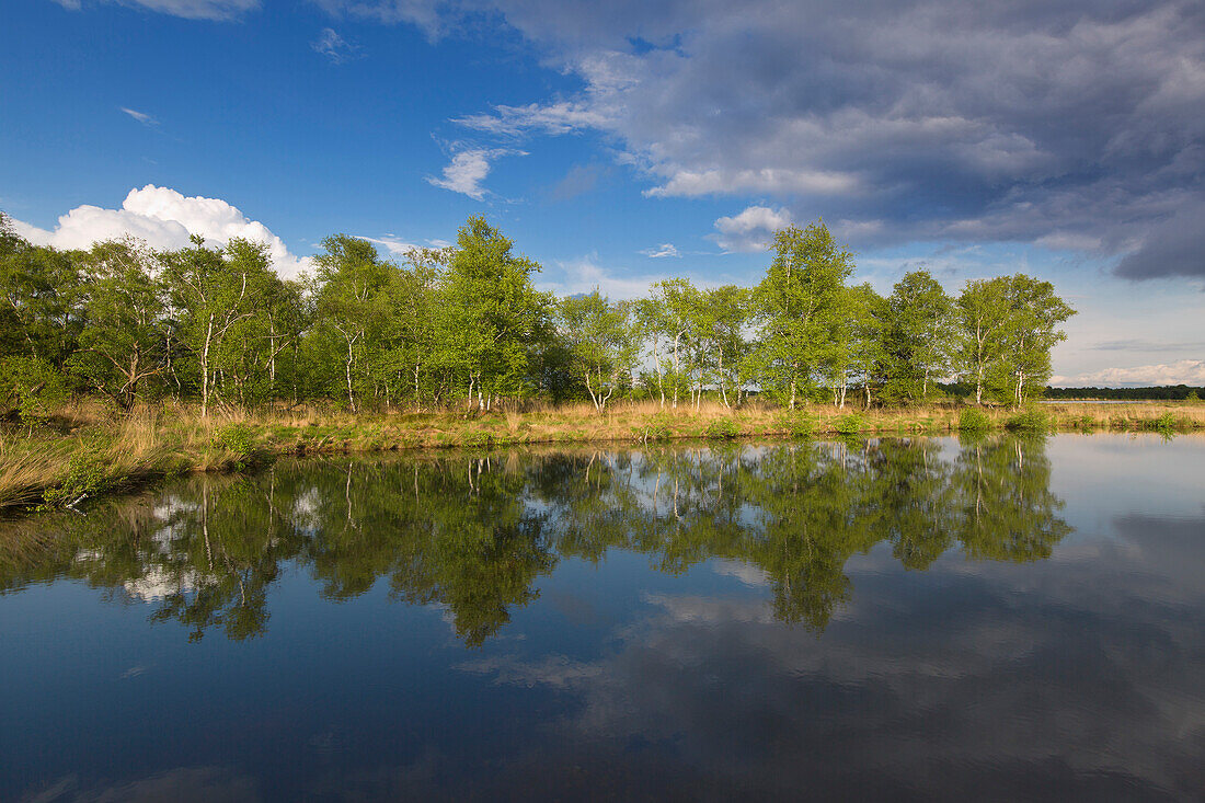 Moorlandschaft, Niedersachsen, Deutschland