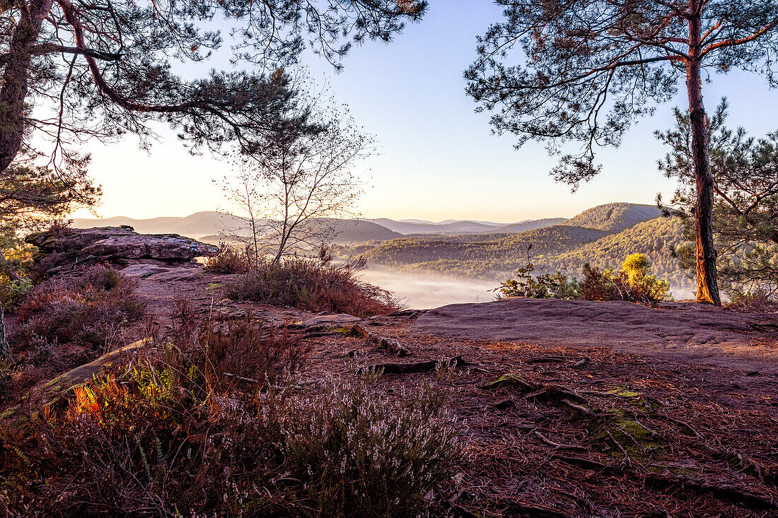 Sonnenaufgang an den Geiersteinen, Rheinland-Pfalz, Deutschland