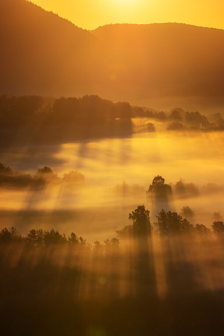 Sonnenaufgang an den Geiersteinen, Rheinland-Pfalz, Deutschland