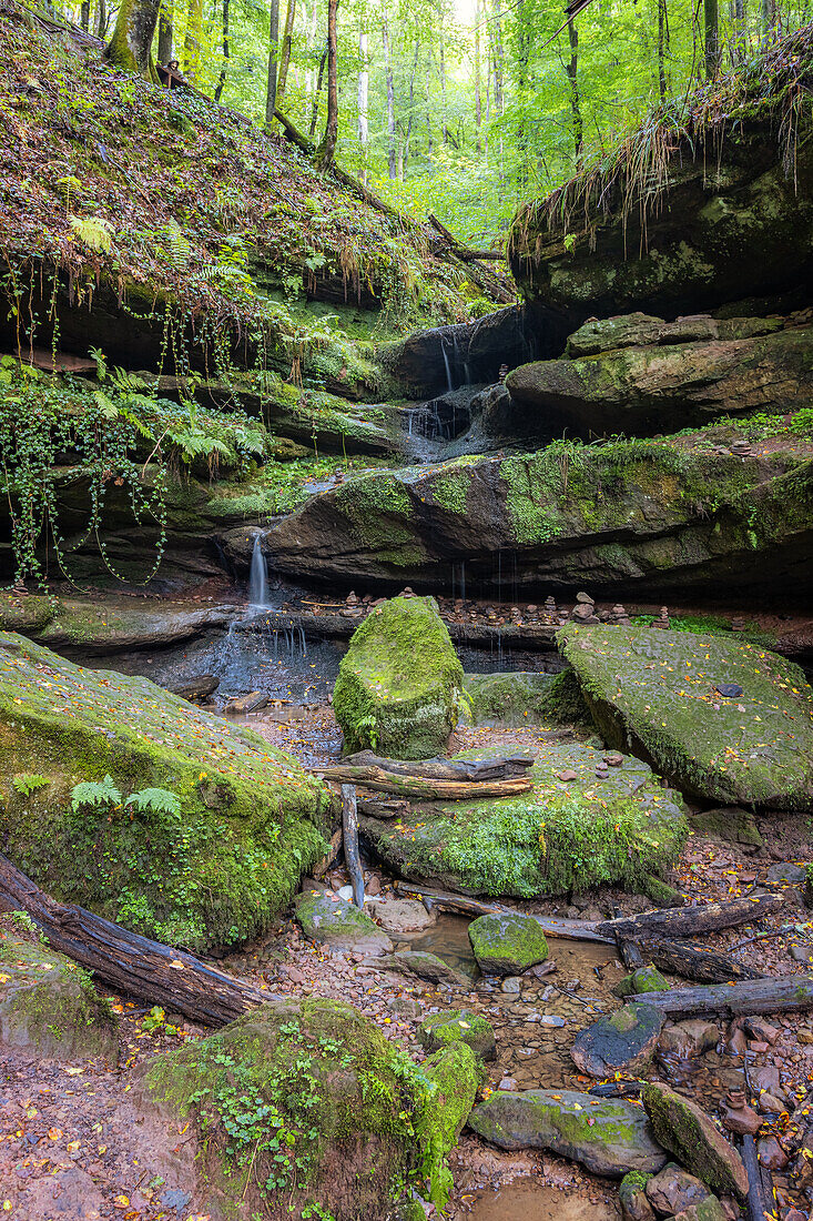 Hexenklamm, Rheinland-Pfalz, Deutschland