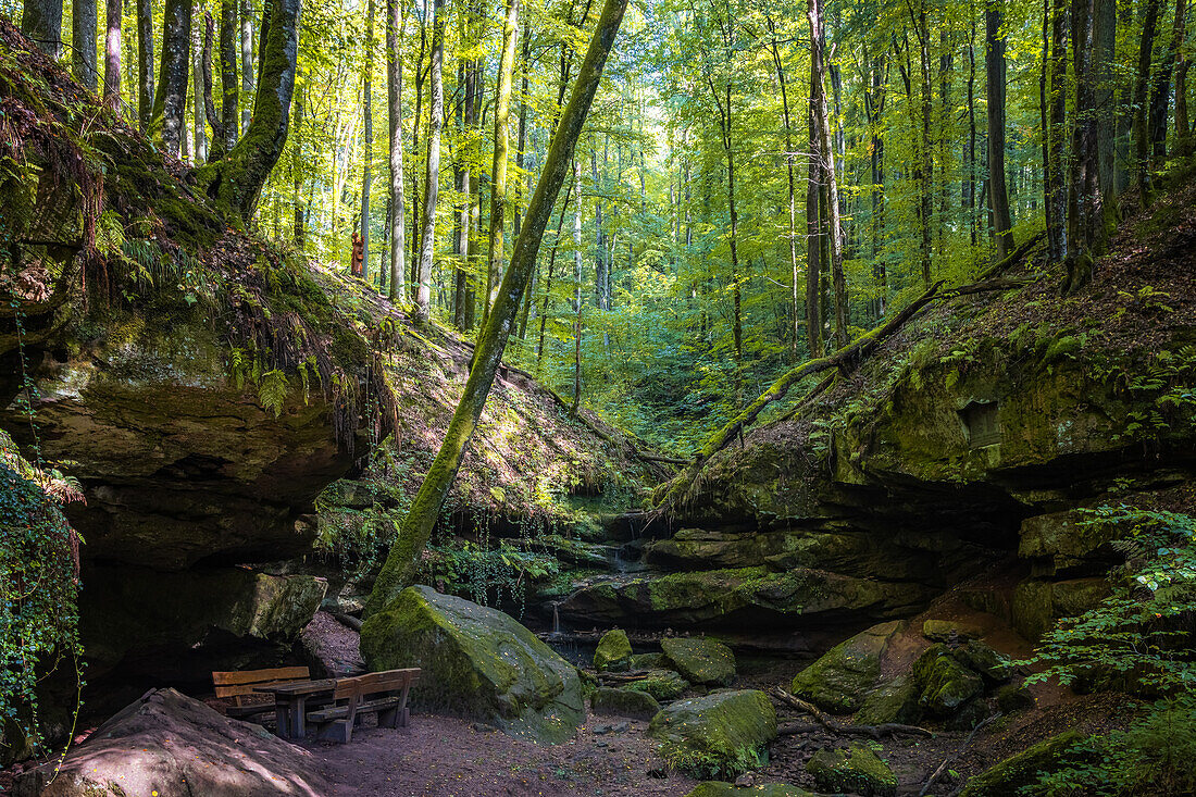 Hexenklamm, Rheinland-Pfalz, Deutschland