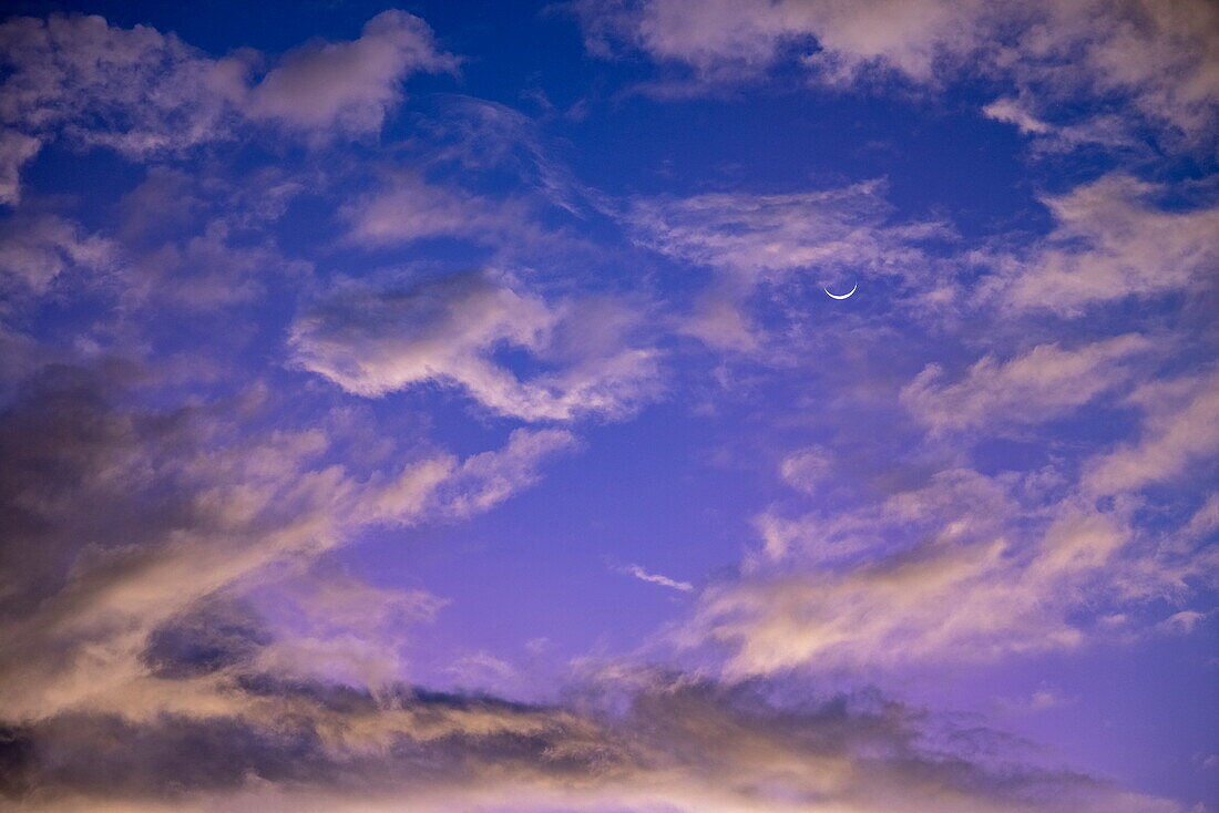 Crescent moon and clouds at dawn, Saint George's, Saint George, Grenada, Caribbean