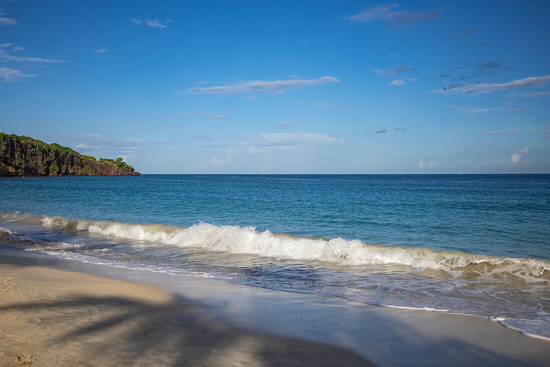 Shadow of coconut tree on Grand Anse Bay Beach, Saint George's, Saint George, Grenada, Caribbean