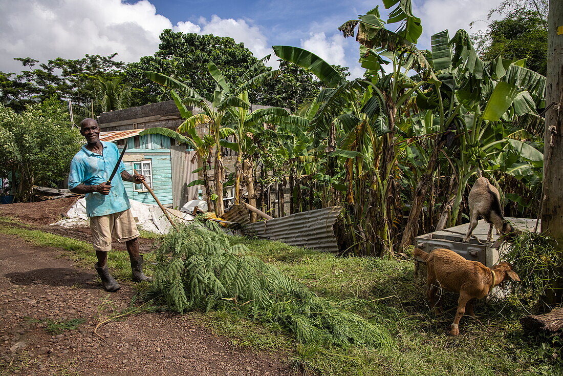 Man with machete inside the island, Saint David, Grenada, Caribbean