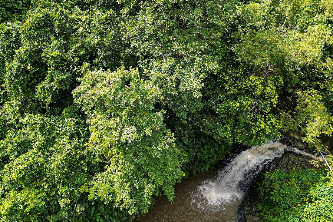 Luftaufnahme von Wasserfall Annandale Falls, in der Nähe von Saint George's, Saint George, Grenada, Karibik