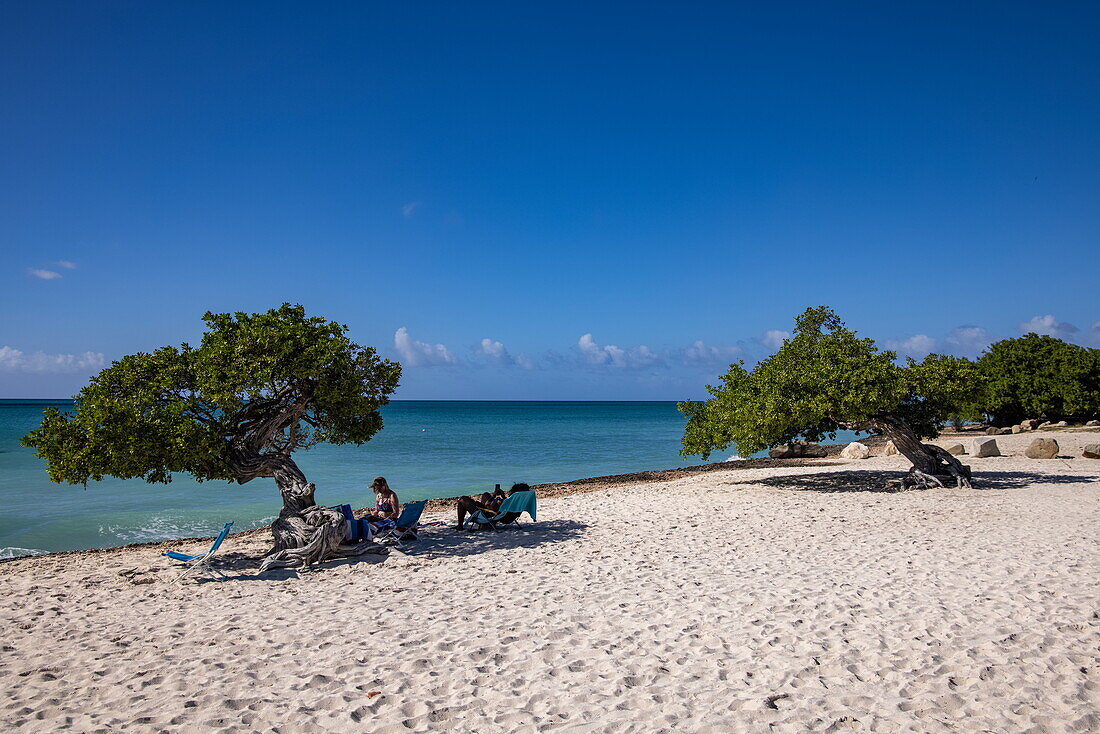 Menschen entspannen, Divi Divi (oder Fofoti) Bäume am Eagle Beach, Aruba, Niederländische Karibik, Karibik