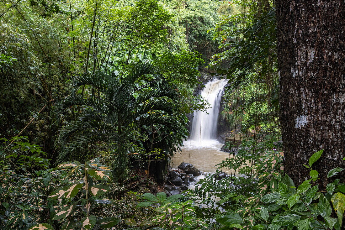 Annandale Falls, St George, Grenada, Caribbean