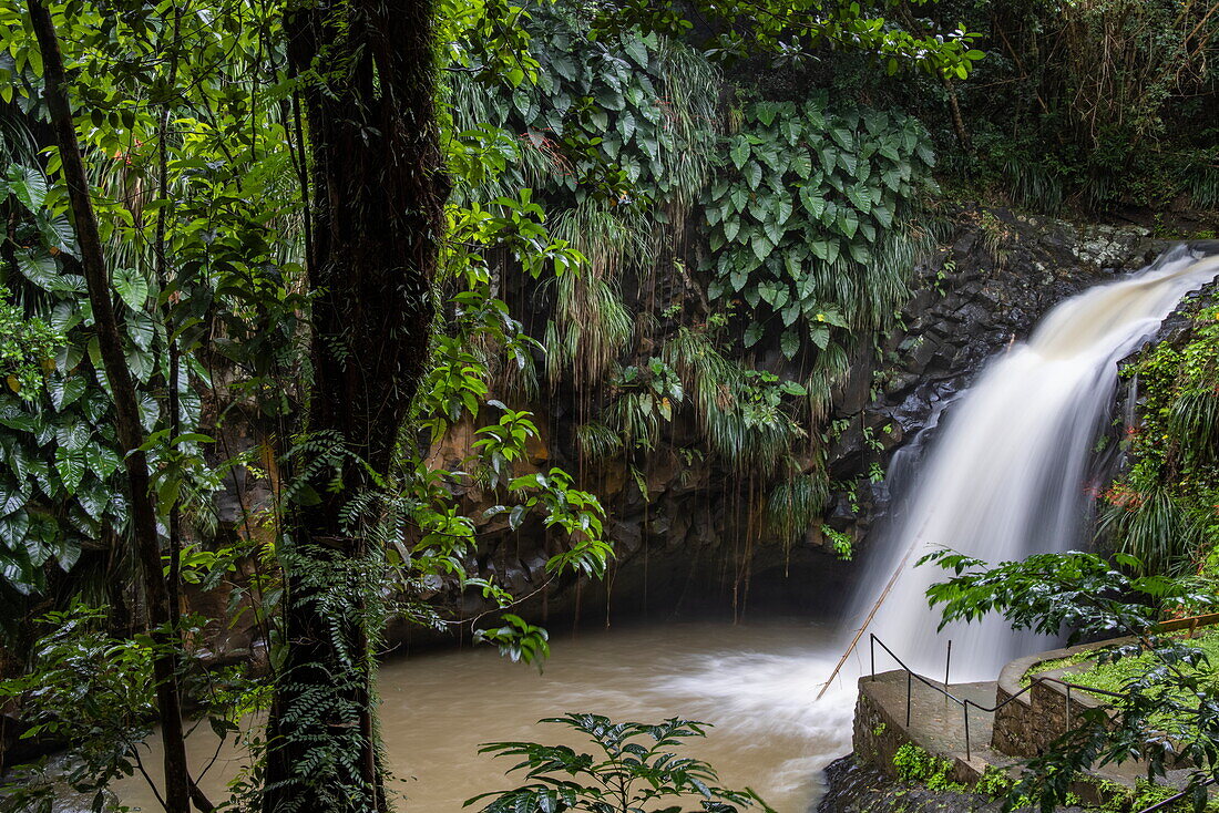 Annandale Falls, St. George, Grenada, Karibik