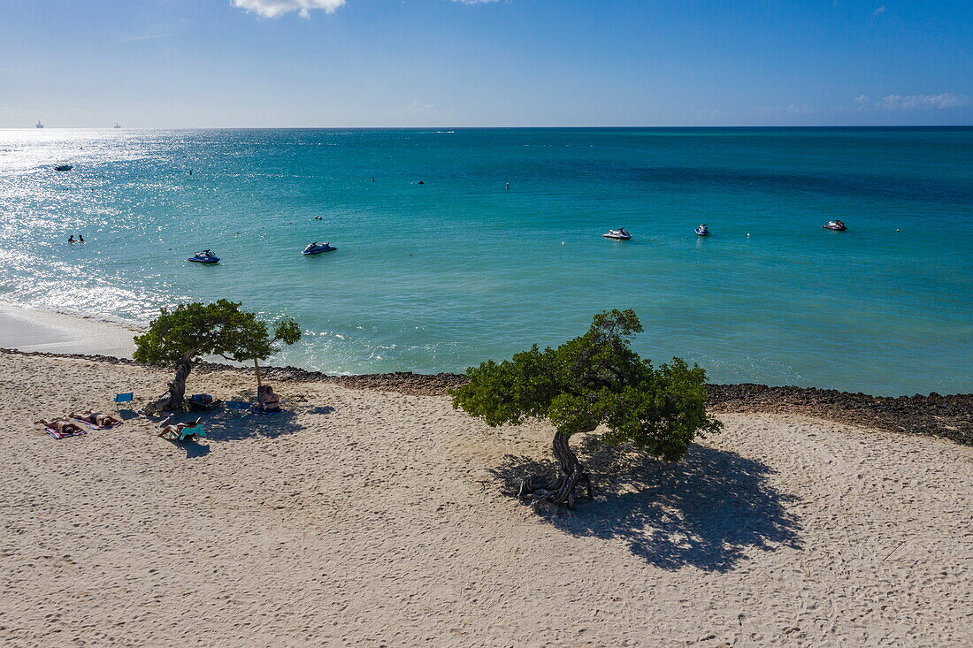 Luftaufnahme der berühmten Divi Divi (oder Fofoti) Bäume am Eagle Beach, Eagle Beach, Aruba, Niederländische Karibik, Karibik