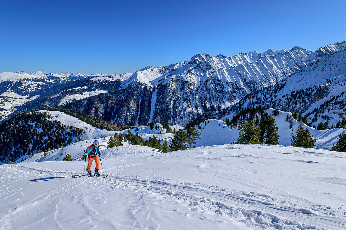 Woman on ski tour ascending to Torhelm, Torhelm, Gerlos Pass, Zillertal Alps, Tyrol, Austria