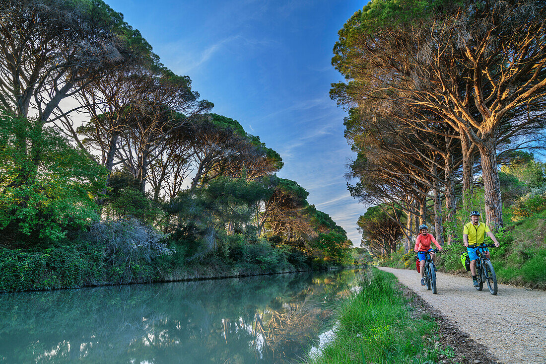 Zwei Personen fahren am Canal du Midi Rad, bei Argeliers, Canal du Midi, UNESCO Welterbe Canal du Midi, Okzitanien, Frankreich