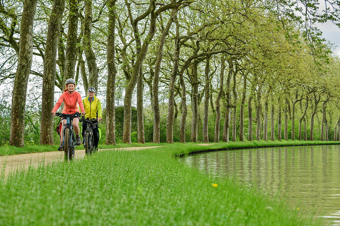 Two people cycling through avenue of plane trees on the Canal du Midi, near Renneville, Canal du Midi, UNESCO World Heritage Canal du Midi, Occitania, France