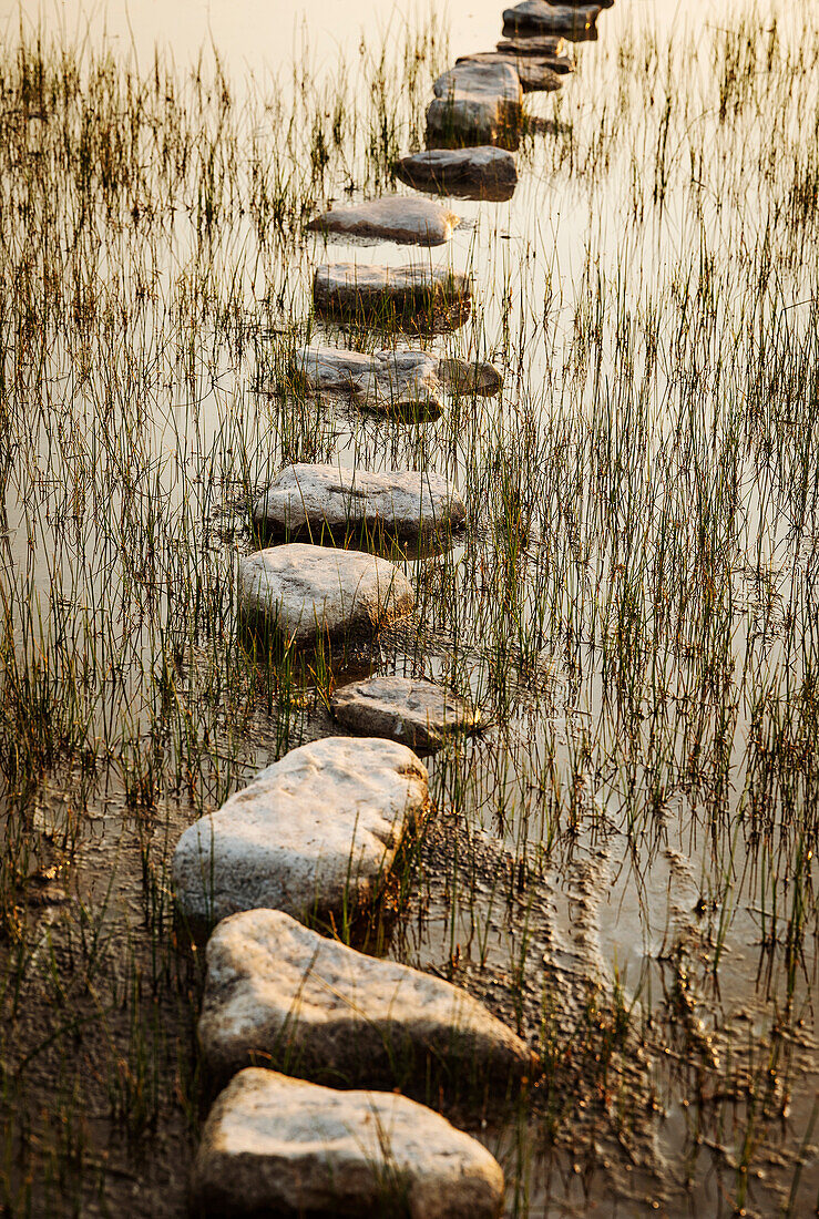 Stepping stones in lake