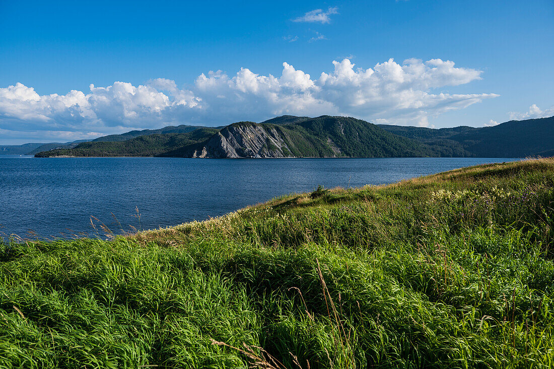 Canada, Labrador, Newfoundland, Coastal Trail, Coastal view with bay in Gros Morne National Park