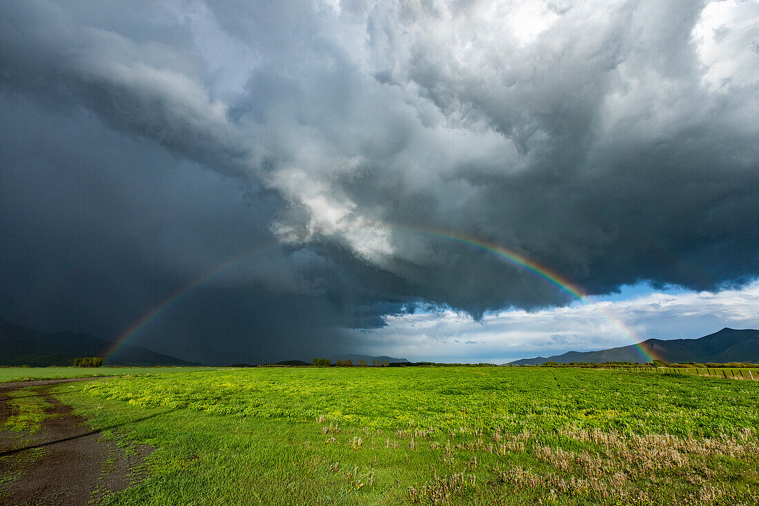 Usa, Idaho, Bellevue, Rainbow and storm clouds over green field near Sun Valley