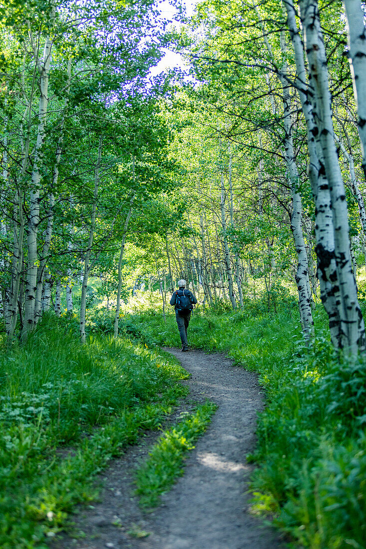 Älterer Mann, der im Wald wandert