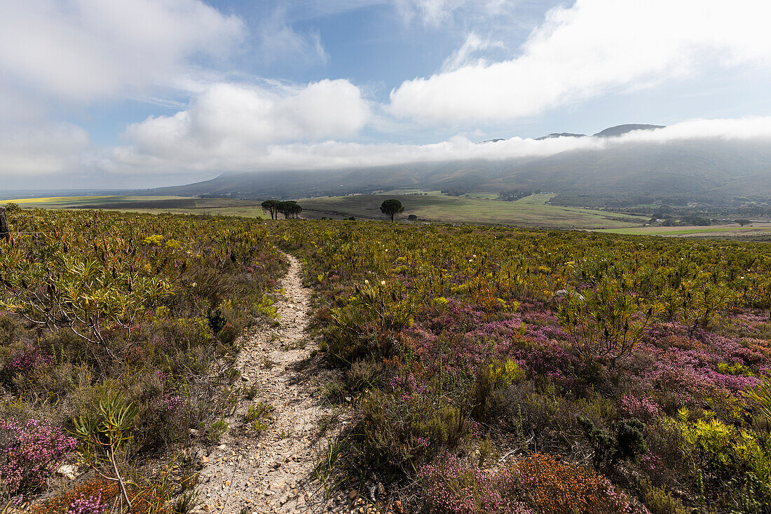 South Africa, Stanford Valley Manor, Hiking trail in Klein Mountains