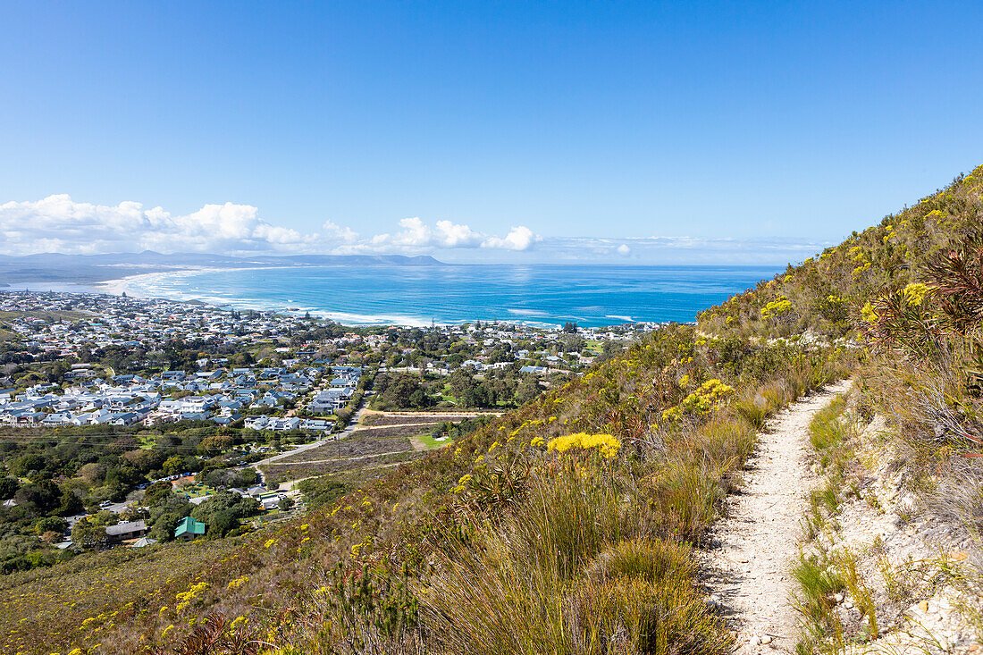 South Africa, Hermanus, Town and sea coast seen from hiking trail
