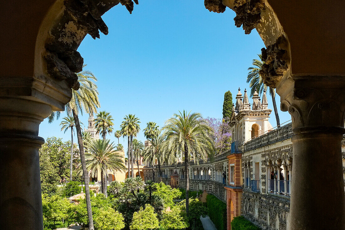 Spain, Seville, Formal gardens at Alcazar royal palace