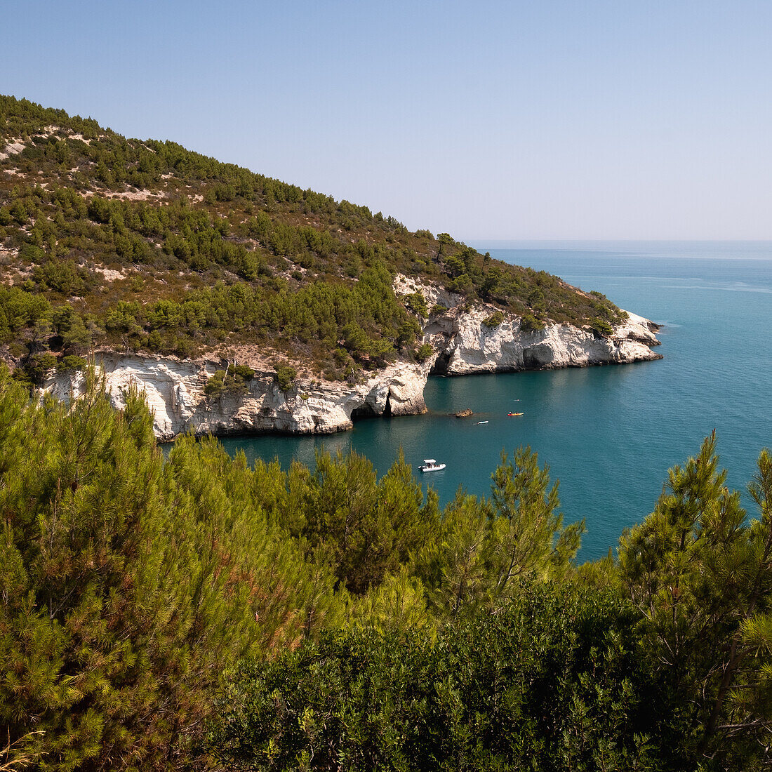 Italy, Apulia, Gargano, Rocky coast of Adriatic Sea