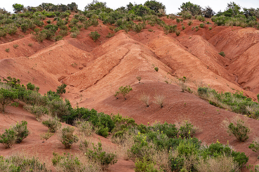 Landschaft mit roter Erde beim Mirador de Abrante bei Agulo, La Gomera, Kanarische Inseln, Spanien 