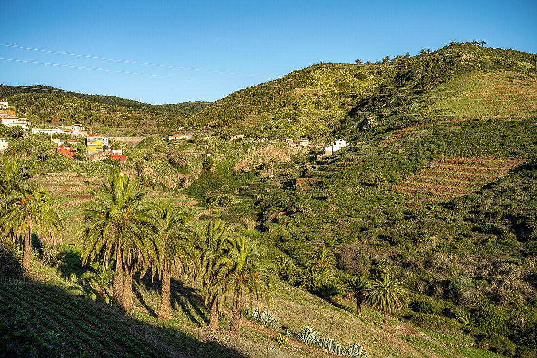 Landschaft im Tal von Arure, La Gomera, Kanarische Inseln, Spanien