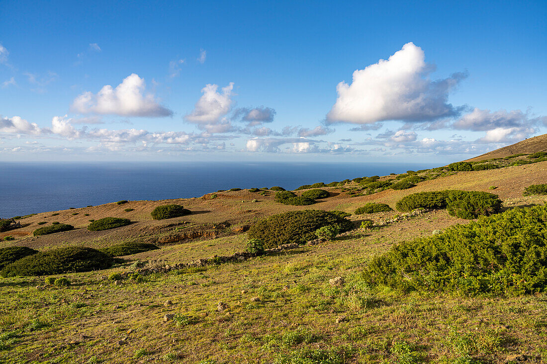 Landscape in El Sabinar Biosphere Reserve, El Hierro, Canary Islands, Spain