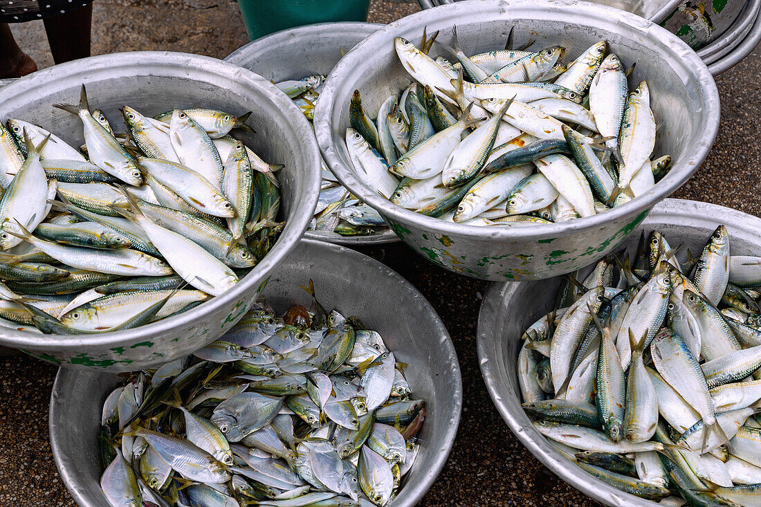 Fischverkauf am Fischmarkt in Elmina in der Central Region im Westen von Ghana in Westafrika