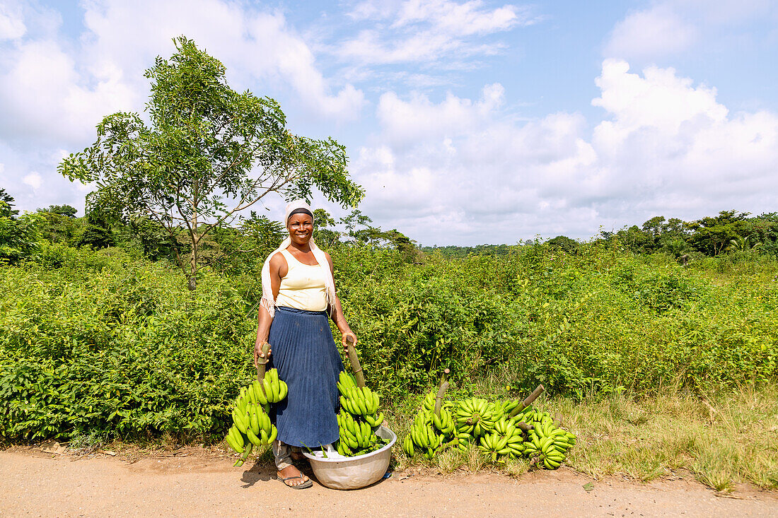 Frau mit frisch geernteten Kochbananen in der Savanne bei Mikpowa zwischen Kumasi und Techiman in der Ashanti Region im Zentrum von Ghana in Westafrika