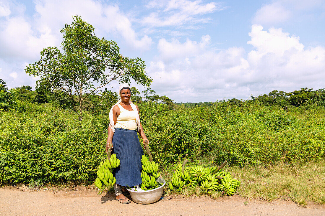 Woman with freshly harvested plantains in the savannah at Mikpowa between Kumasi and Techiman in the Ashanti Region of central Ghana in West Africa